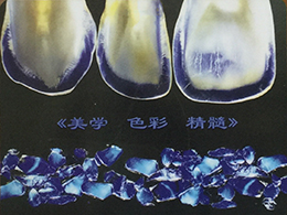 諾億租賃全程助力--《美學 色彩 精髓》牙科講座