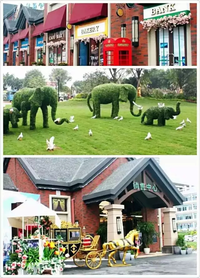 1492996445105879.jpg s2.webp.jpg